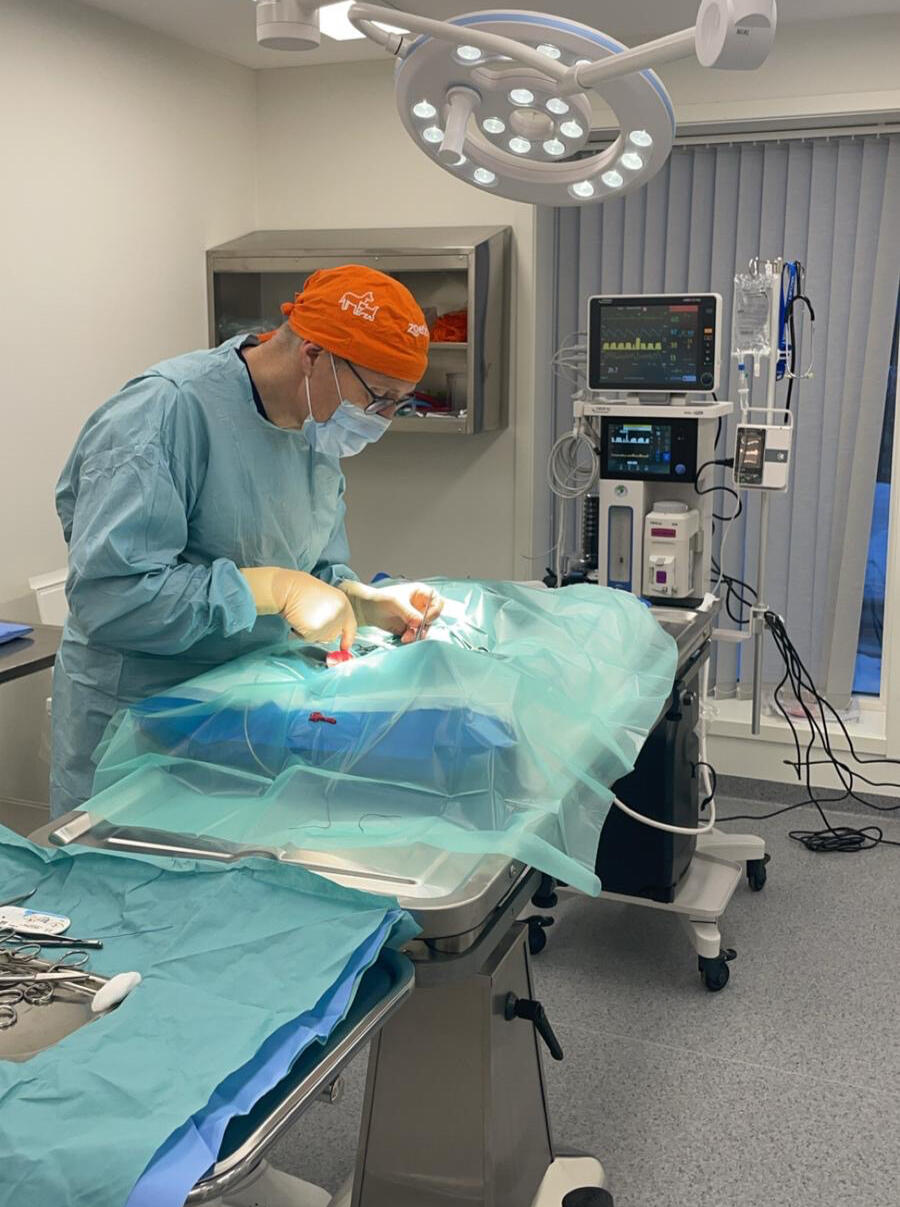 Veterinær opererer hund ved Eidsvoll Verk Dyreklinikk – moderne utstyr og trygge behandlinger.